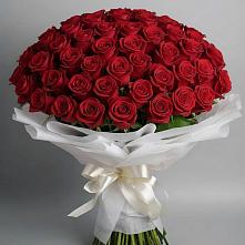 Букет 101 Красная роза Блэк Мэджик в Ксеньевке