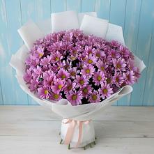 Букет цветов из:  Хризантемы в Ксеньевке