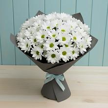 Букет цветов из:  Хризантемы в Ксеньевке