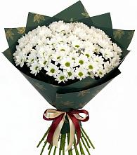 Букет цветов из:  Хризантемы в Ксеньевке